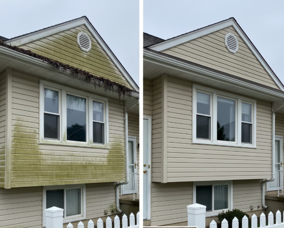 Before and After